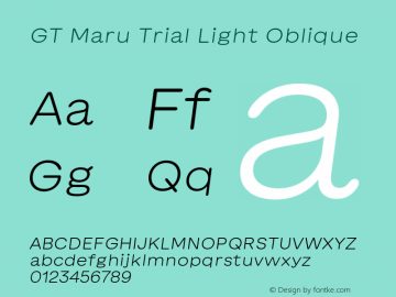 GT Maru Trial Light Oblique Version 2.002;FEAKit 1.0图片样张