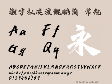 潮字社凌渡鲲鹏简 常规 Version 1.0  www.reeji.com QQ:2770851733 Mail:Reejifont@outlook.com REEJI锐字家族 上海锐线创意设计有限公司图片样张