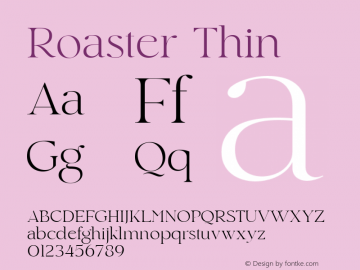 Roaster Thin Version 1.000图片样张