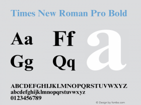 Times New Roman Pro Bold Version 1.00图片样张