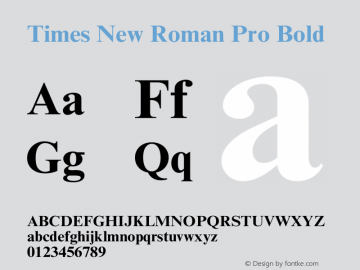 Times New Roman Pro Bold Version 1.00图片样张