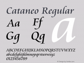 Cataneo Regular 003.001图片样张