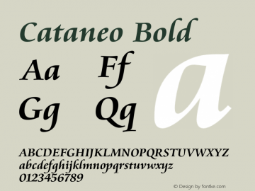 Cataneo Bold 003.001 Font Sample