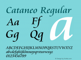 Cataneo Regular 003.001图片样张