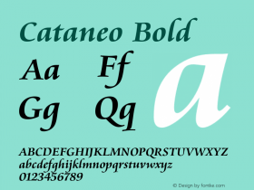 Cataneo Bold 003.001图片样张