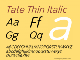 Tate Thin Italic 001.000图片样张