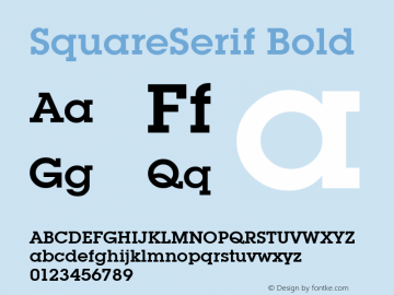 SquareSerif Bold Altsys Fontographer 3.5  6/28/93 Font Sample