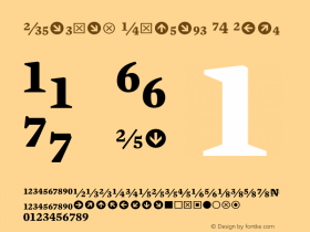 Mercury Numeric G4 Bold 001.000 Font Sample