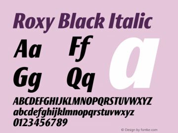 Roxy Black Italic 001.000图片样张