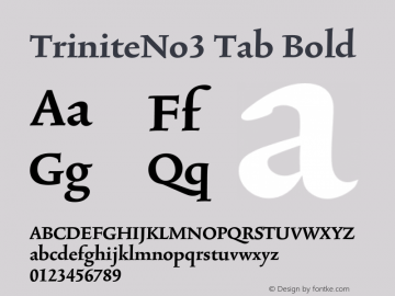 TriniteNo3 Tab Bold 001.000图片样张