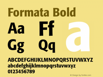 Formata Bold Version 001.000 Font Sample