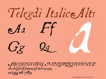 Telegdi ItalicAlts Macromedia Fontographer 4.1.3 9/27/01图片样张
