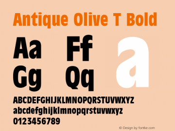 Antique Olive T Bold Version 1.05图片样张