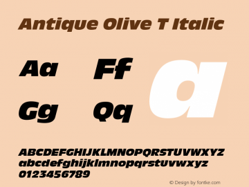 Antique Olive T Italic Version 1.05图片样张