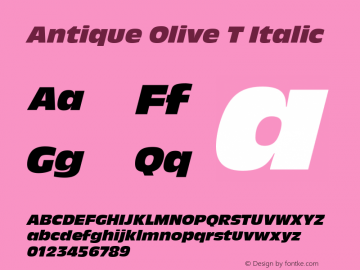 Antique Olive T Italic Version 001.005图片样张