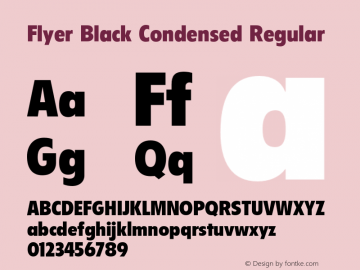 Flyer Black Condensed Regular 001.000 Font Sample