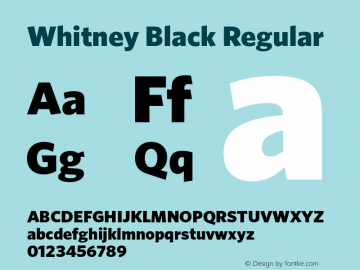 Whitney Black Regular Version 1.200 Pro图片样张