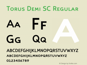 Torus Demi SC Regular 001.000图片样张