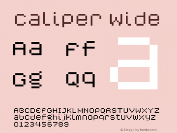 Caliper Wide version 1.00图片样张