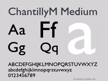 ChantillyM Medium 1.0 Fri May 14 17:25:01 1999图片样张