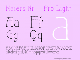 Maiers Nr.21 Pro Light Version 2.000 2006 initial release图片样张