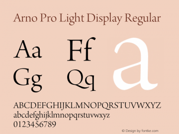 Arno Pro Light Display Regular Version 1.011;PS 1.000;hotconv 1.0.50;makeotf.lib2.0.16025 Font Sample
