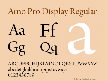 Arno Pro Display Regular Version 1.011;PS 1.000;hotconv 1.0.50;makeotf.lib2.0.16025图片样张