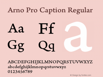 Arno Pro Caption Regular Version 1.084;PS 1.005;hotconv 1.0.67;makeotf.lib2.5.33168 Font Sample