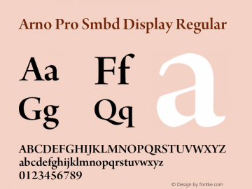 Arno Pro Smbd Display Regular Version 1.011;PS 1.000;hotconv 1.0.50;makeotf.lib2.0.16025图片样张