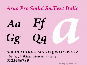 Arno Pro Smbd SmText Italic Version 1.084;PS 1.005;hotconv 1.0.67;makeotf.lib2.5.33168图片样张
