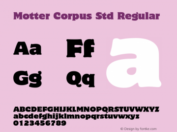 Motter Corpus Std Regular Version 2.046;PS 002.000;hotconv 1.0.50;makeotf.lib2.0.16970图片样张