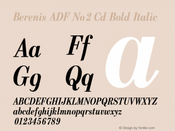 Berenis ADF No2 Cd Bold Italic Version 1.001;PS 1.003;Core 1.0.38;makeotf.lib1.6.5960图片样张