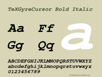 TeXGyreCursor Bold Italic Version 1.103;PS 1.103;hotconv 1.0.49;makeotf.lib2.0.14853 Font Sample