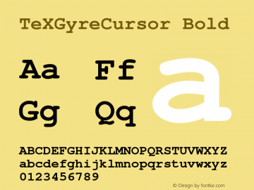 TeXGyreCursor Bold Version 2.004;PS 2.004;hotconv 1.0.49;makeotf.lib2.0.14853 Font Sample