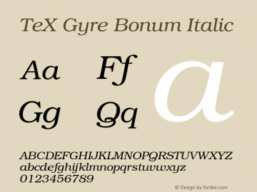TeX Gyre Bonum Italic Version 1.103;PS 1.103;hotconv 1.0.49;makeotf.lib2.0.14853图片样张