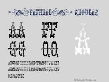 [PANHEAD] Regular Version 1.000 2008 initial release Font Sample