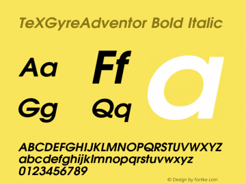 TeXGyreAdventor Bold Italic Version 1.991;PS 0.991;hotconv 1.0.49;makeotf.lib2.0.14853 Font Sample