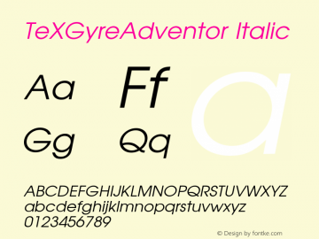 TeXGyreAdventor Italic Version 1.991;PS 0.991;hotconv 1.0.49;makeotf.lib2.0.14853 Font Sample