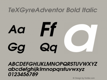 TeXGyreAdventor Bold Italic Version 1.104;PS 1.104;hotconv 1.0.49;makeotf.lib2.0.14853图片样张
