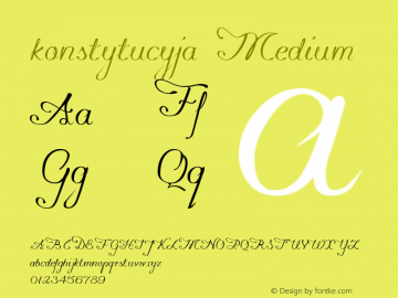 konstytucyja Medium Version 0.91图片样张