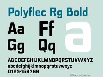 Polyflec Rg Bold Version 1.000图片样张