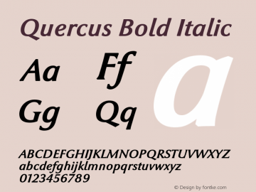 Quercus Bold Italic Version 1.000 2007 initial release图片样张