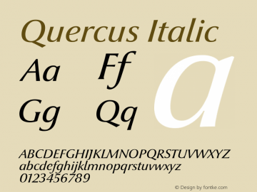 Quercus Italic Version 1.000 2007 initial release图片样张