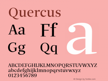 Quercus ☞ 1.000;com.myfonts.easy.storm.quercus-serif.regular.wfkit2.version.4mvA图片样张