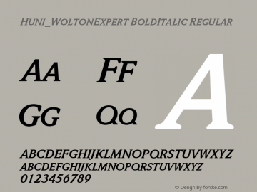 Huni_WoltonExpert BoldItalic Regular 1.0,  Rev. 1.65.  1997.06.14 Font Sample