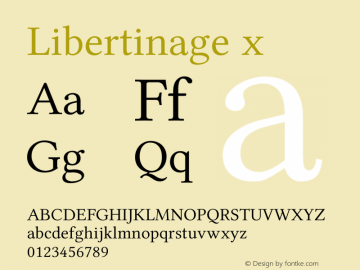 Libertinage x Version 1.0; 2008; OFL relea图片样张