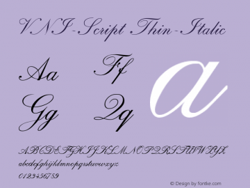 VNI-Script Thin-Italic 1.0 Sat Jan 30 10:35:46 1993图片样张