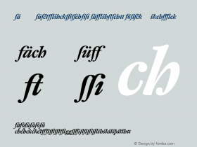 DTL Fleischmann Display Bold Italic 001.001 Font Sample