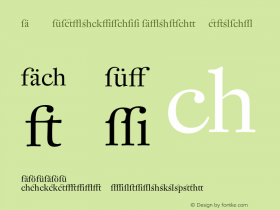 DTL Fleischmann Display Regular 001.001 Font Sample