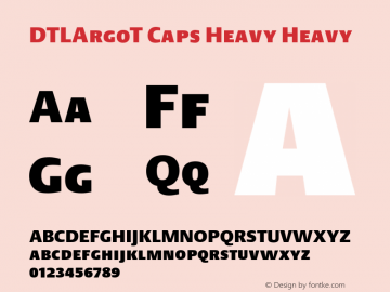 DTLArgoT Caps Heavy Heavy 001.000图片样张